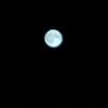 fimm123_456