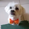 ilhasaapsosnoopy