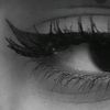 its.ma.dison