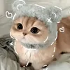 nylanerrapisura