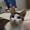 lucysdiary7