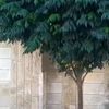 23456abdullah23456
