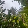 el00iki