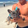 sillybillythefrenchie