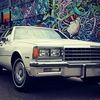 whip_game_proper_wgp101