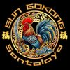 🐓CIWI SUNGOKONG🐓
