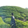 xy_aripin