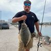 badfish_matt