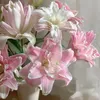 linh_dan_25