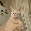 username0675_
