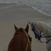 rehana3243
