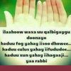 swtminay