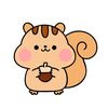 🐿️ 다람쥐 Reviews 🐿️