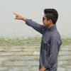 shariarsogib