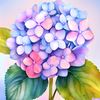 gulyaseilova