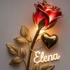 elena.prez607