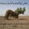 theambassadoroftimeazma0