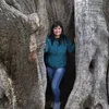 catycarballoberrocal