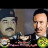 mohammedalaminhamdi