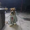 thestitch3