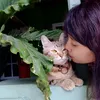 momtabby92