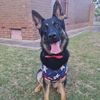 axel_gsd21