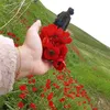 gashataher