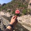 yousfzai87