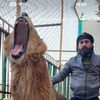 💫ابونمر💫