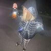 lovvecali
