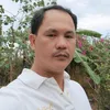 a.quitayninh