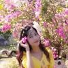user1732530017186