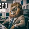jungle0.com