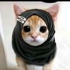 fazz_oii
