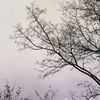 circle_cffffff