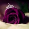 dresslover43