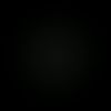 leofy1