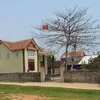 thaihuy37p1