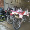 nyanhein8