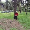 mpampisdrosos