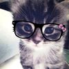lolalis22