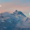 navarhaproject