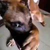 yngridi.silvaa