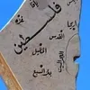 palestinesafad