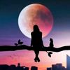 mayada.emad3