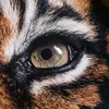 tigertony.5