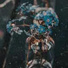 _faunaflora