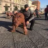 danielbarbu03