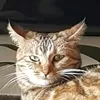 ziobillyemyt
