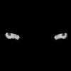 e46maxxi